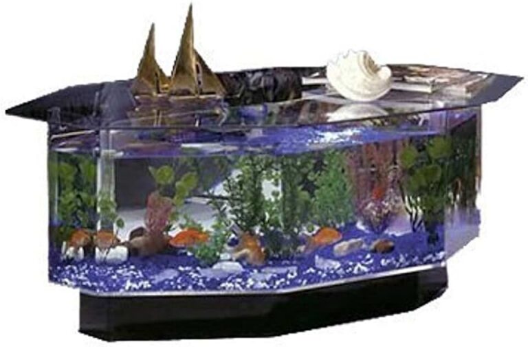 Octagon Coffee Table Aquarium