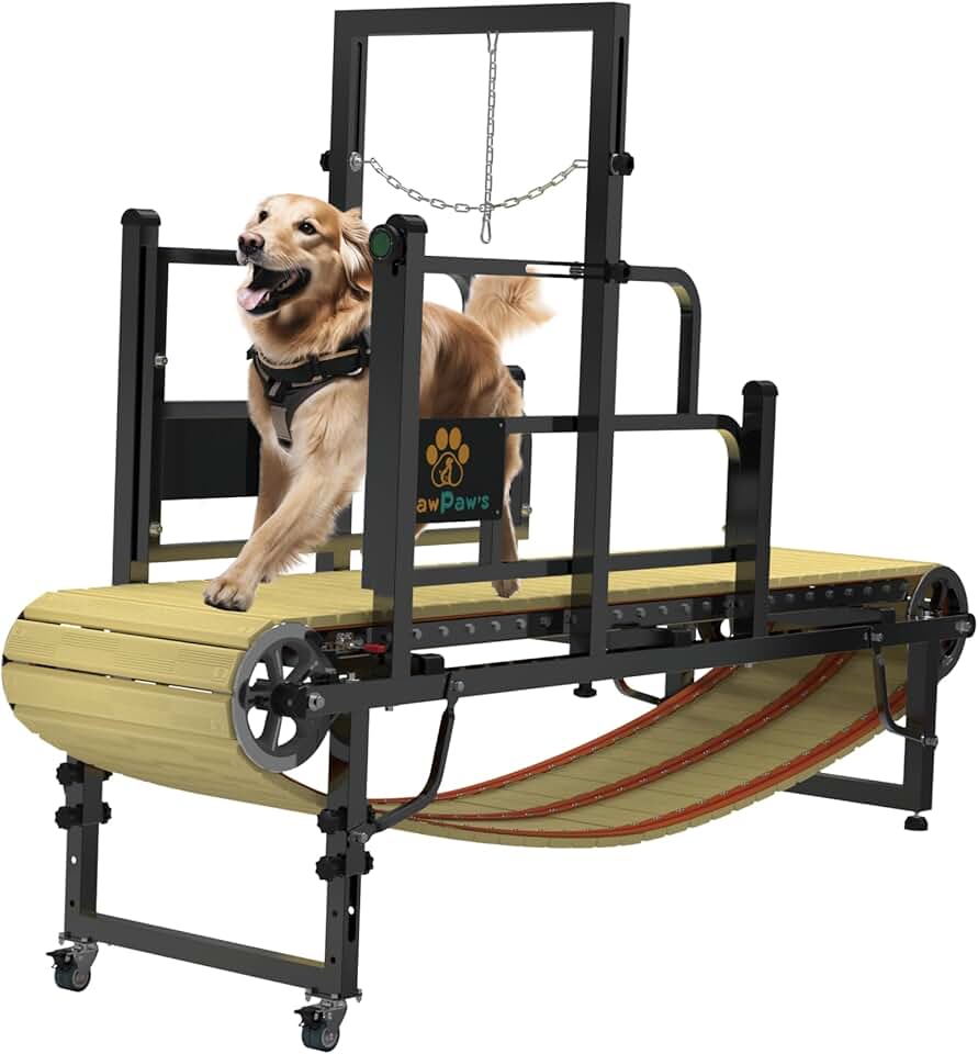PawPaw's Dog Treadmill