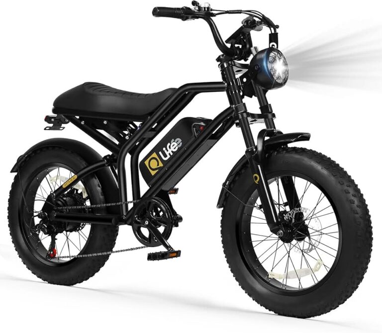 Qlife Spark-1500W Ebike