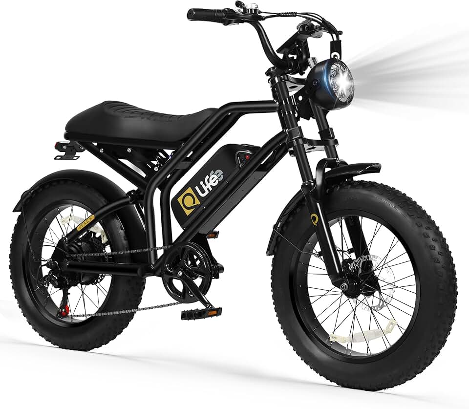 Qlife Spark-1500W Ebike