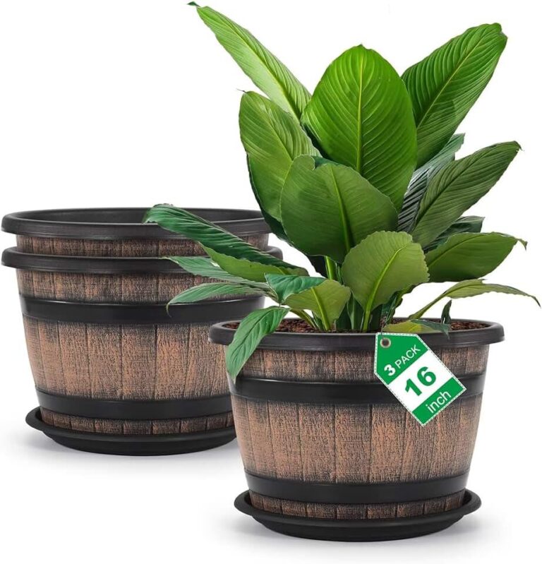 Quarut Barrel Planters