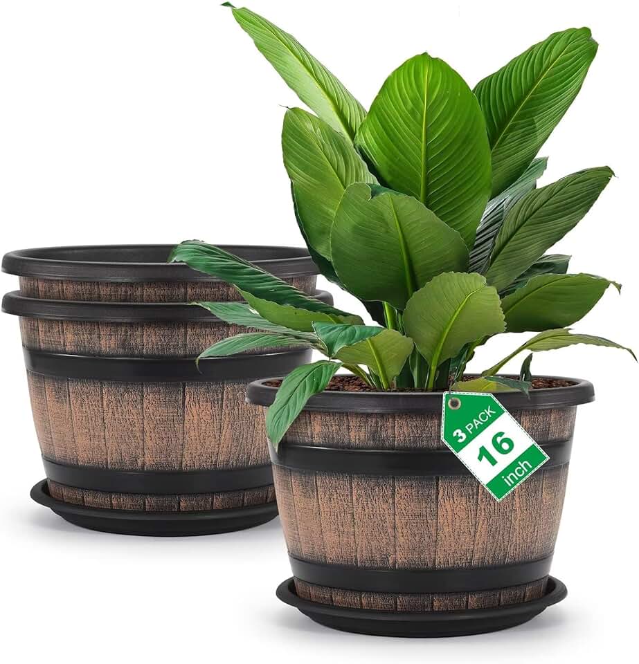 Quarut Barrel Planters