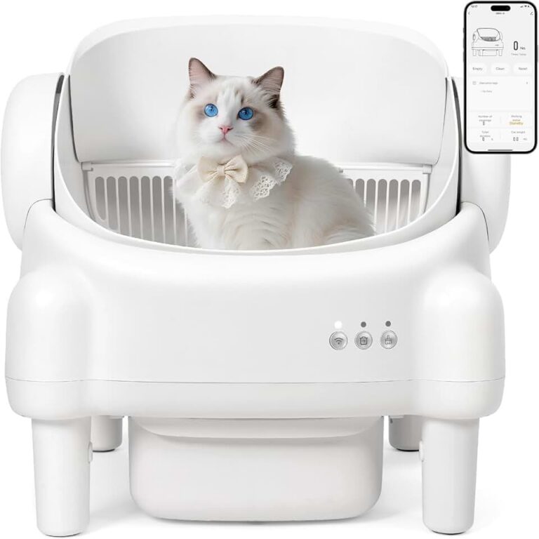 Self Cleaning Litter Box