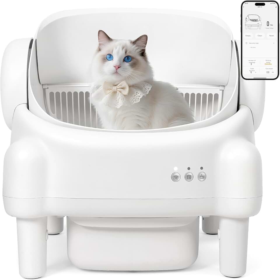 Self Cleaning Litter Box