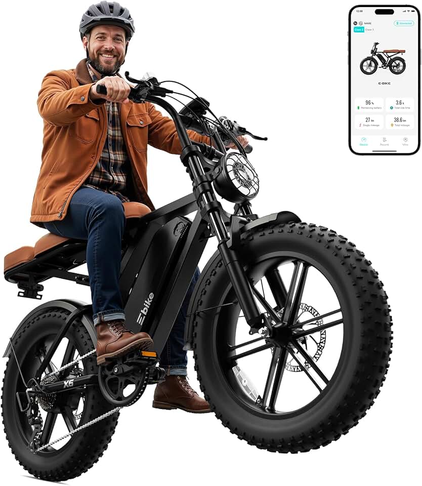 SISIGAD Electric Bike