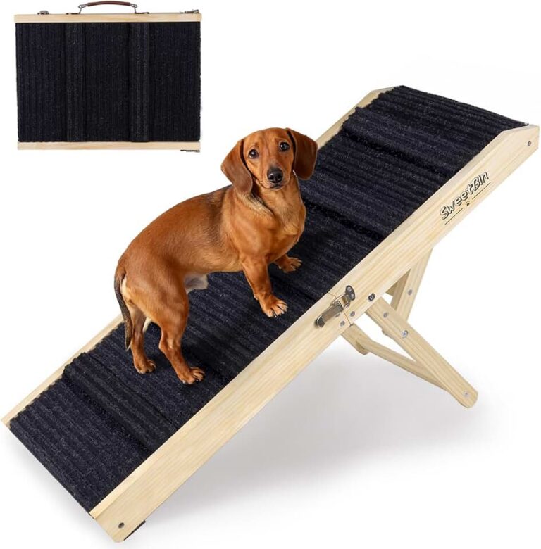 Small Dog Ramp