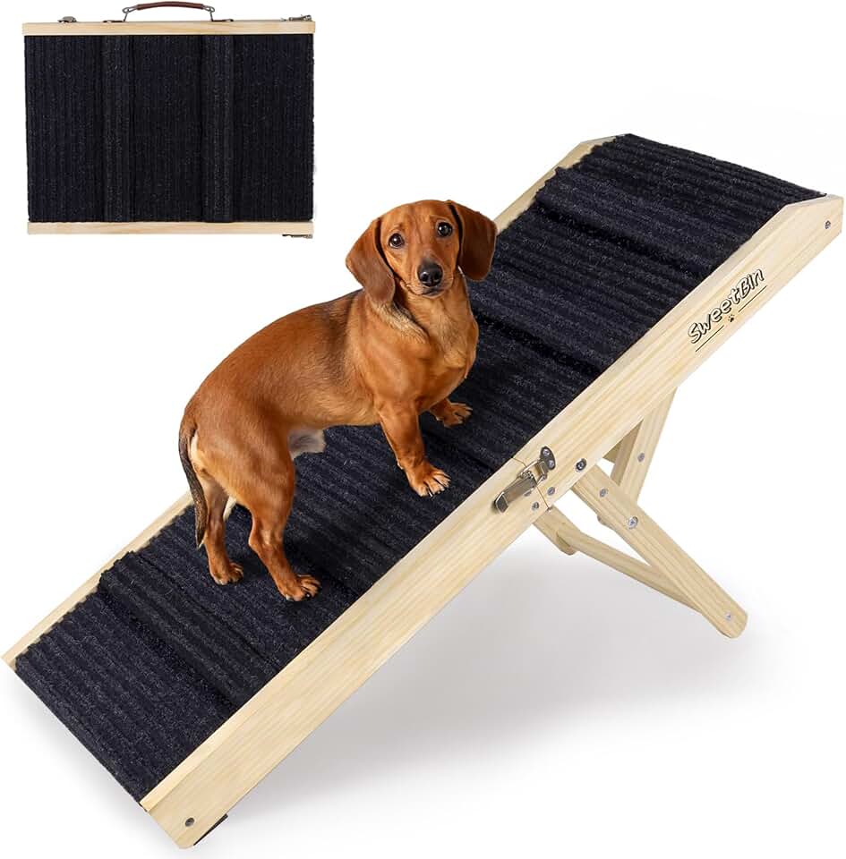 Small Dog Ramp