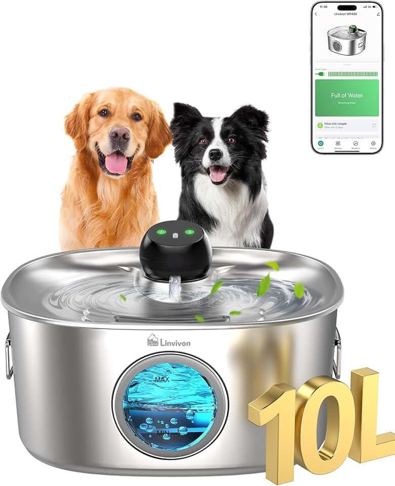Smart Dog Water Fountain