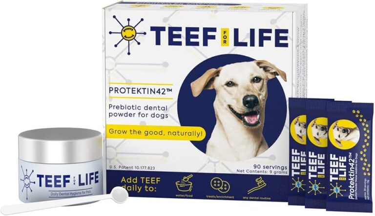 TEEF FOR LIFE Dental Powder