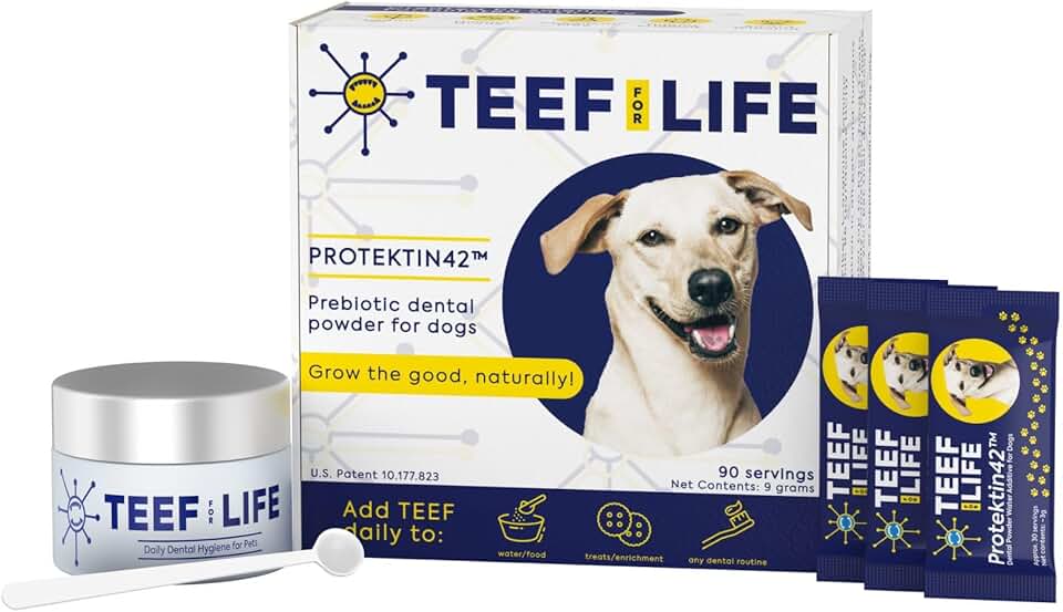 TEEF FOR LIFE Dental Powder