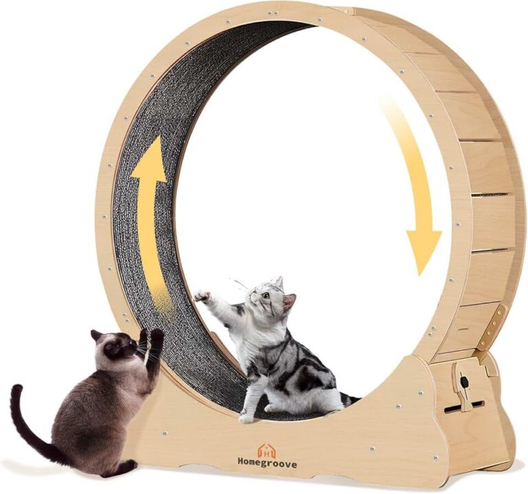 Homegroove Cat Exercise Wheel