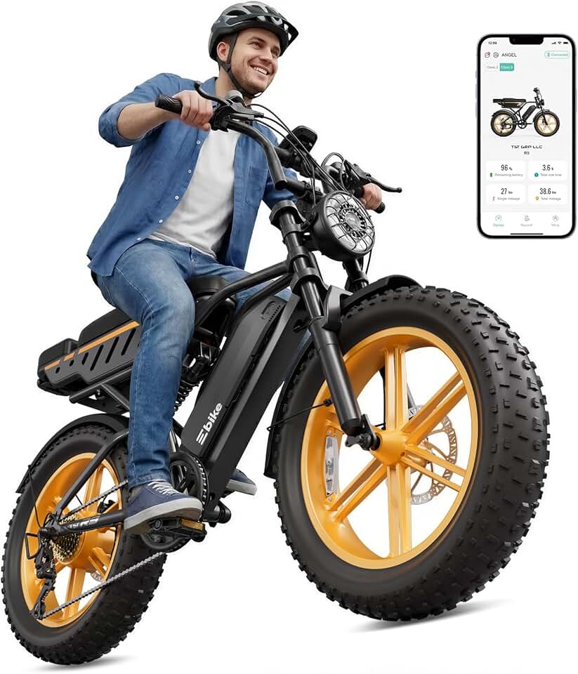 TS TST Electric Bike