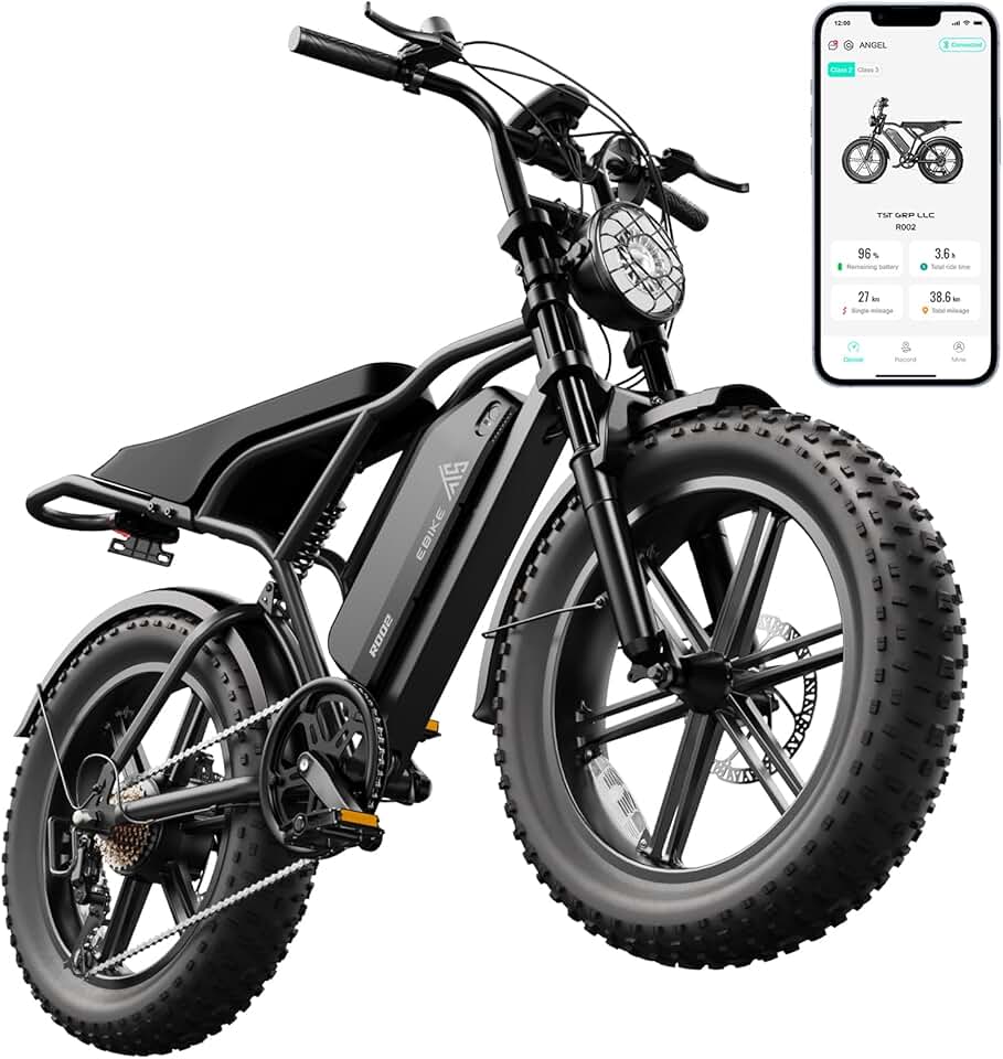 TST Electric Bike