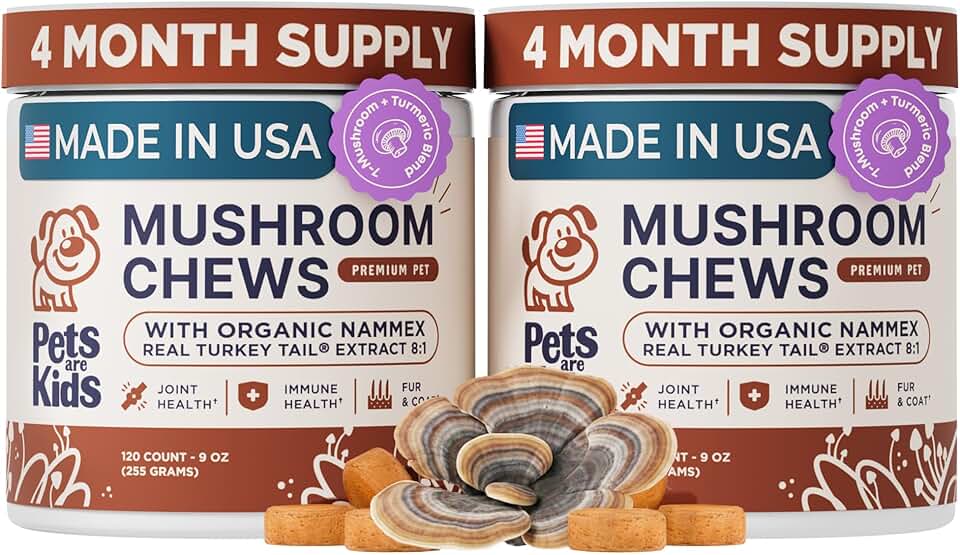 Turkey Tail Mushroom Dogs