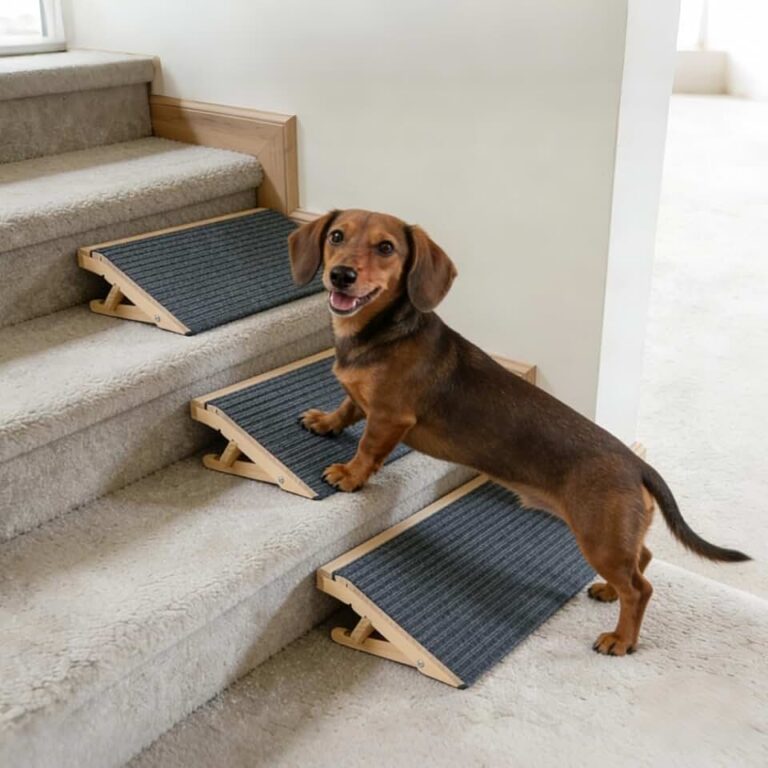 Dog Ramp for Stairs