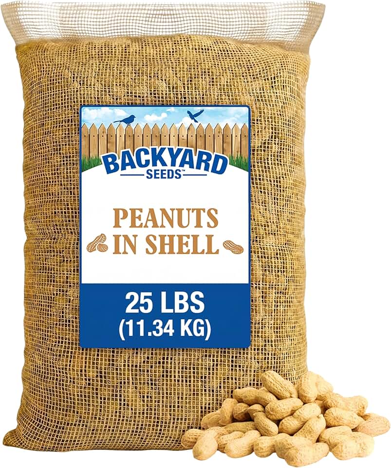 CountryMax Raw Peanuts