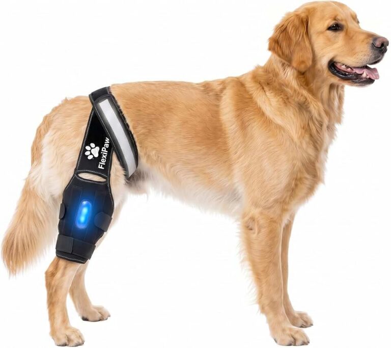 Dog Knee Brace