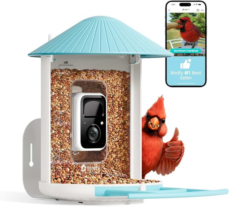 NETVUE Birdfy Feeder