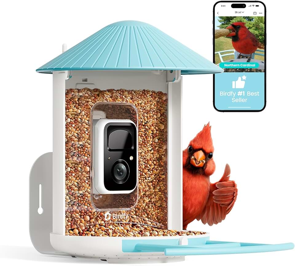 NETVUE Birdfy Feeder