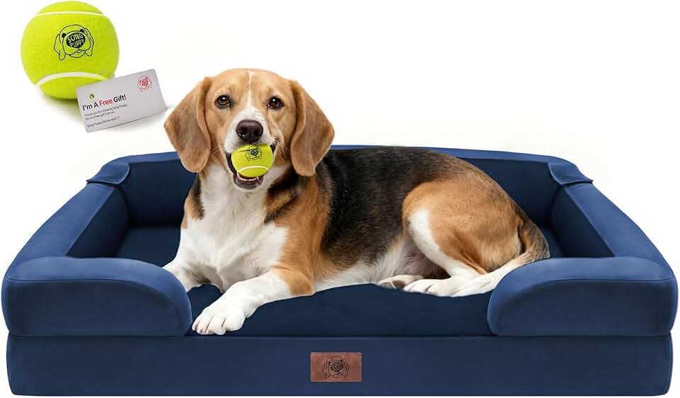 Orthopedic Dog Bed