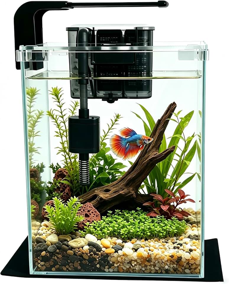 Vimvins 5 Gallon Fish Tank