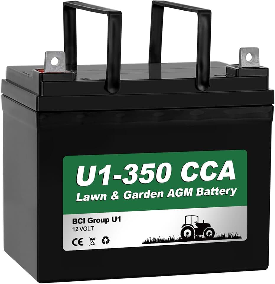 WEIZE Lawn Battery